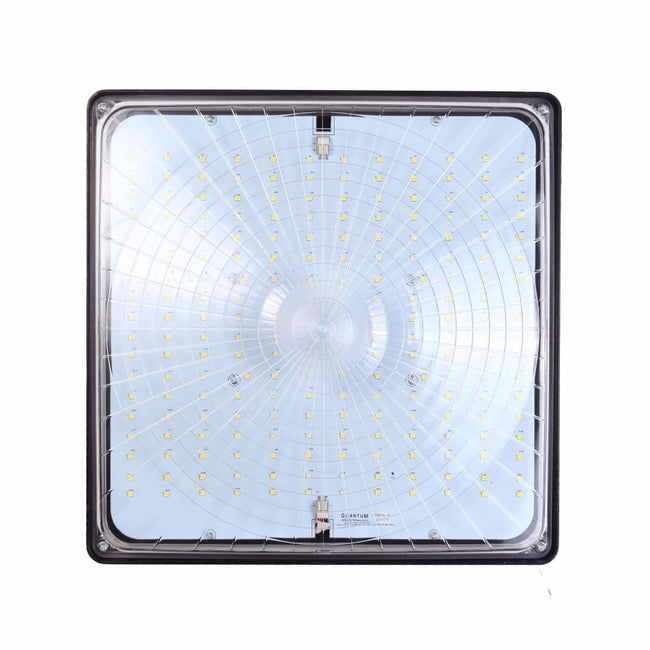 LED Square Canopy Lux (3 Pack) - LED Overstock